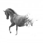 photoshop-winter-horse031