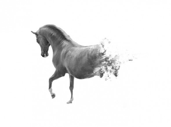 photoshop-winter-horse031