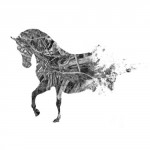 photoshop-winter-horse038