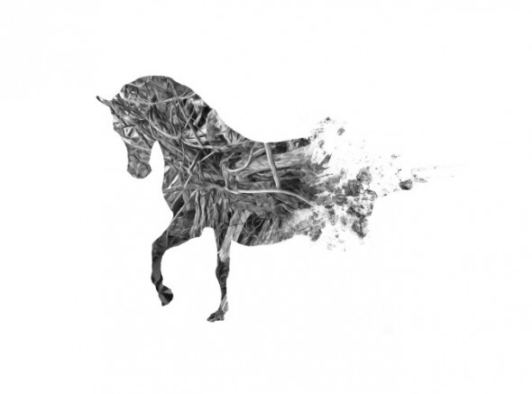 photoshop-winter-horse038