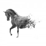 photoshop-winter-horse039