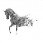 photoshop-winter-horse042