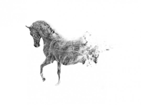 photoshop-winter-horse042