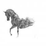 photoshop-winter-horse044