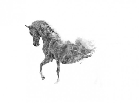 photoshop-winter-horse044