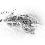 photoshop-winter-horse053