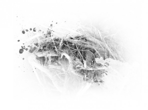 photoshop-winter-horse053