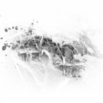 photoshop-winter-horse055