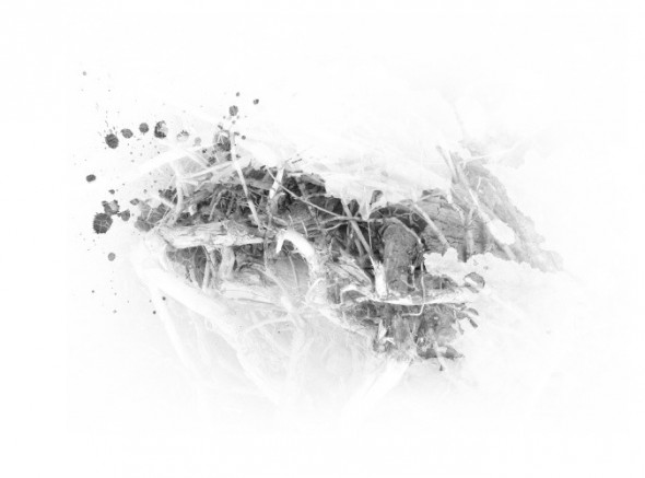photoshop-winter-horse055