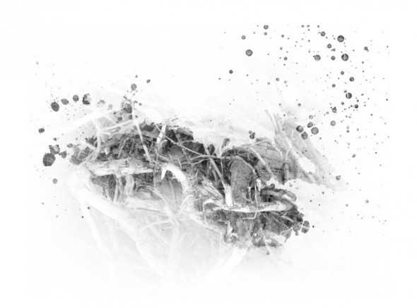 photoshop-winter-horse057