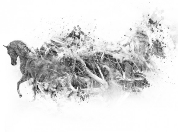 photoshop-winter-horse061