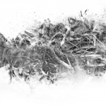 photoshop-winter-horse065