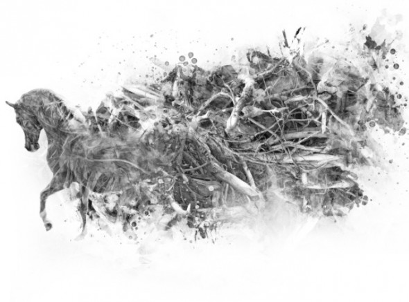 photoshop-winter-horse065