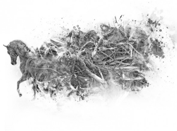 photoshop-winter-horse068