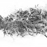 photoshop-winter-horse069