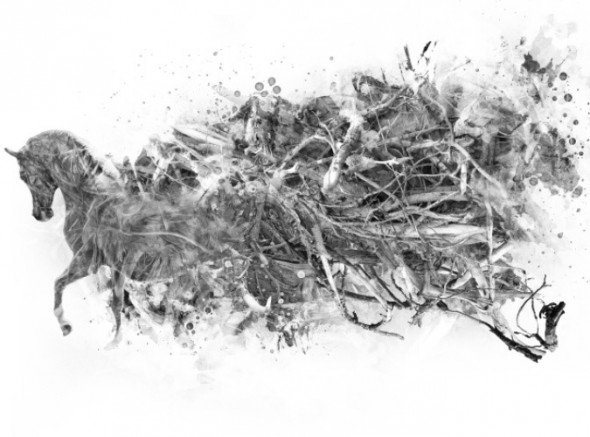 photoshop-winter-horse069