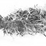 photoshop-winter-horse072