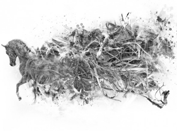 photoshop-winter-horse072