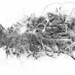 photoshop-winter-horse075