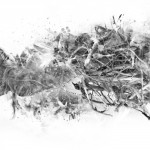 photoshop-winter-horse077