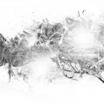 photoshop-winter-horse079