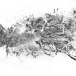 photoshop-winter-horse082
