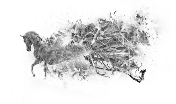 photoshop-winter-horse082