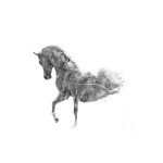 photoshop-winter-horse086