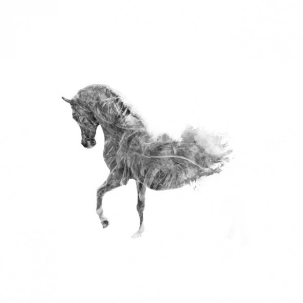 photoshop-winter-horse086