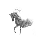 photoshop-winter-horse087