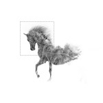 photoshop-winter-horse089