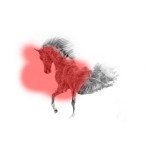 photoshop-winter-horse090