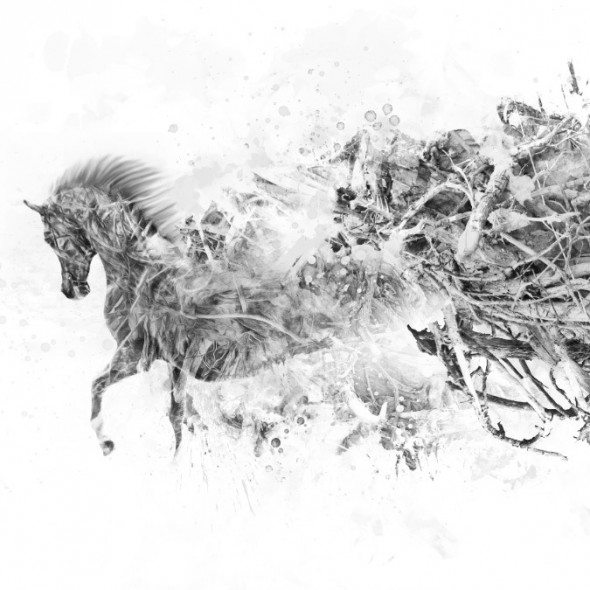 photoshop-winter-horse095