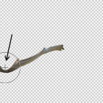 photoshop-winter-horse098