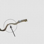photoshop-winter-horse099