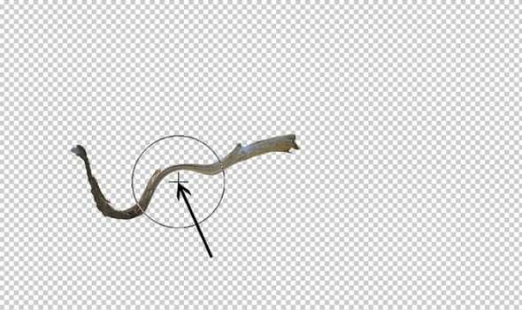 photoshop-winter-horse099
