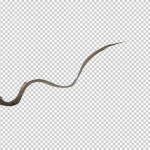 photoshop-winter-horse102