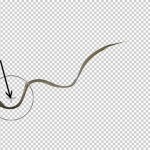 photoshop-winter-horse103