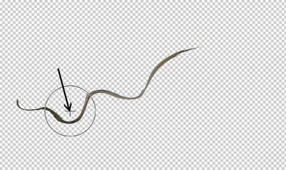 photoshop-winter-horse103
