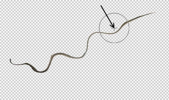photoshop-winter-horse106