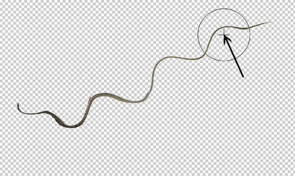 photoshop-winter-horse107
