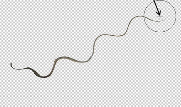 photoshop-winter-horse108