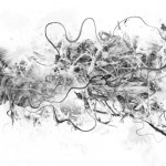 photoshop-winter-horse111