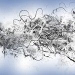 photoshop-winter-horse118