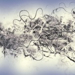 photoshop-winter-horse120