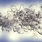 photoshop-winter-horse123