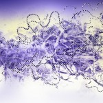 photoshop-winter-horse140