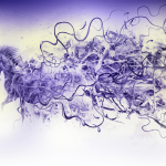 photoshop-winter-horse_thumb