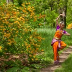 india-color-pallets22