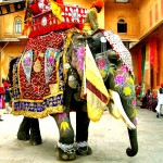 india-color-pallets23